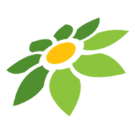 LINK DEWAHOKI99
